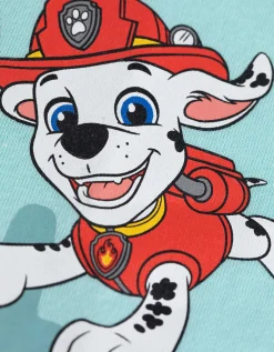 Dopodopo boys T-shirt - Paw Patrol - turkoois Sale